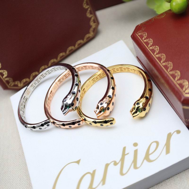 Cartier Bracelet 03yxs29